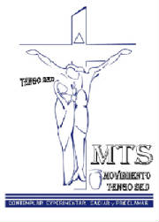 mts.jpg